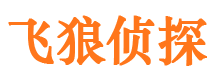 金堂飞狼私家侦探公司